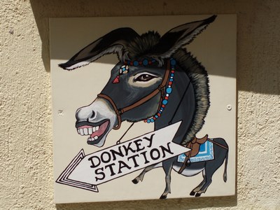 Santorini Donkeys